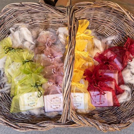 Tenuta Le Viste Bed & Breakfast สกันดิชชี ภายนอก รูปภาพ