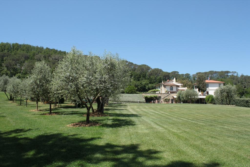 Tenuta Le Viste Bed & Breakfast สกันดิชชี ภายนอก รูปภาพ
